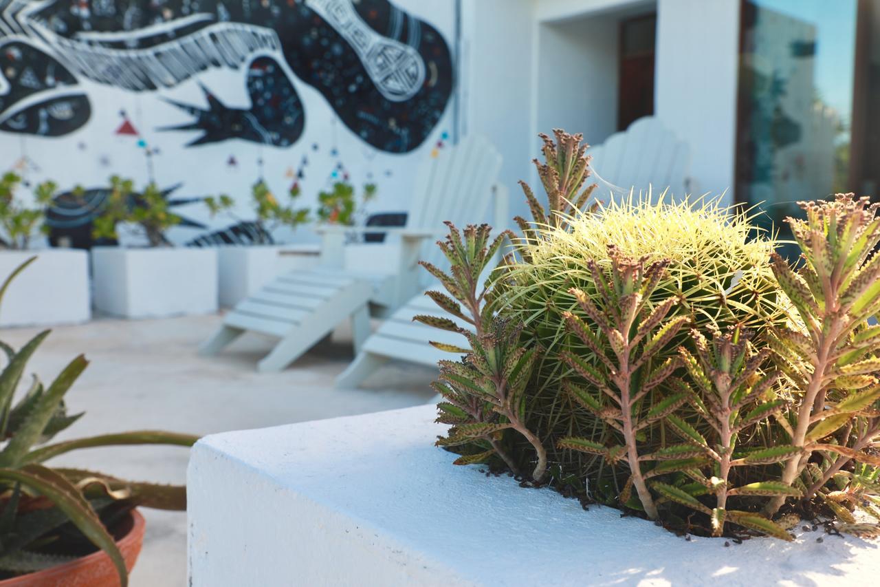 Aparthotel Tuup Jungle Tulum Exteriér fotografie